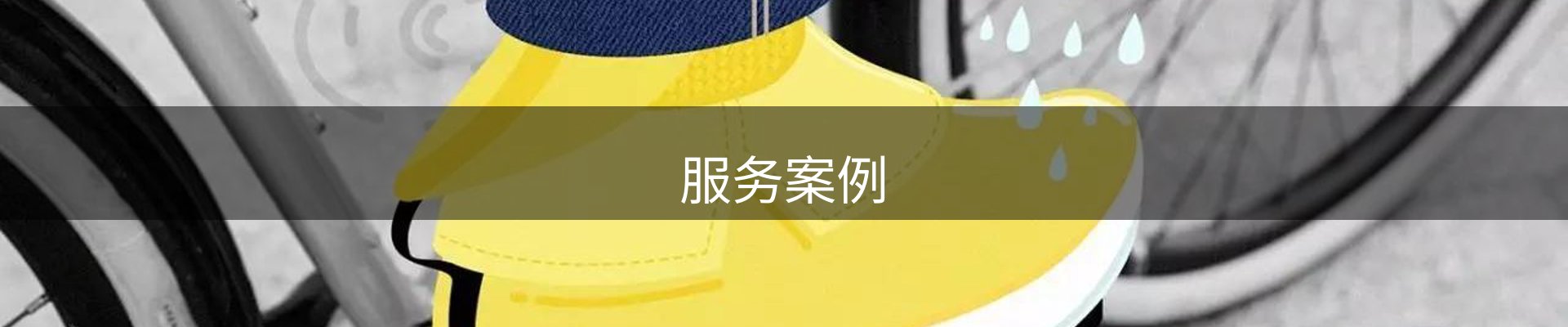 服务案例